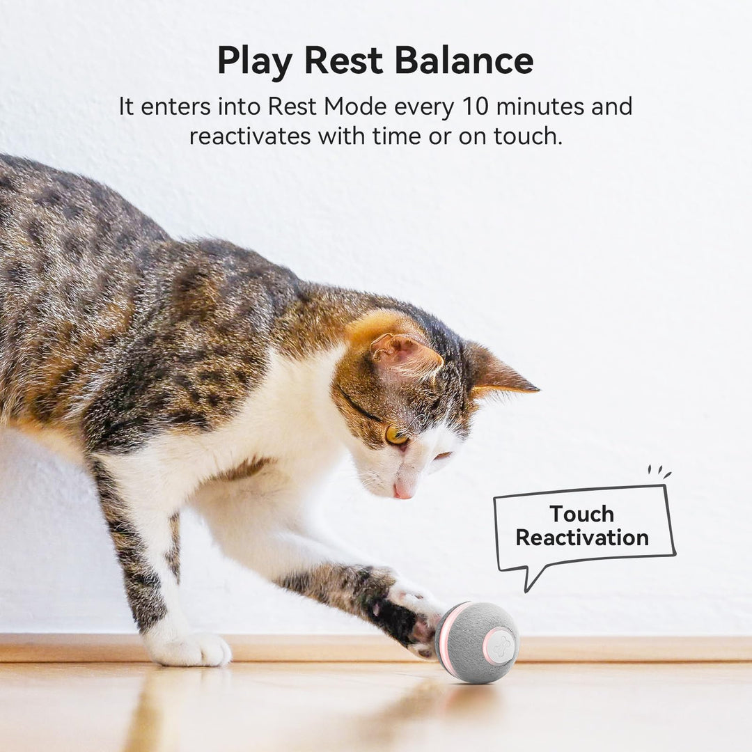 Smart Interactive Cat Toy, Automatic Moving Bouncing Rolling Ball for Indoor Cat Kitten, Peppy Pet Ball with Lights and Bell, Grey