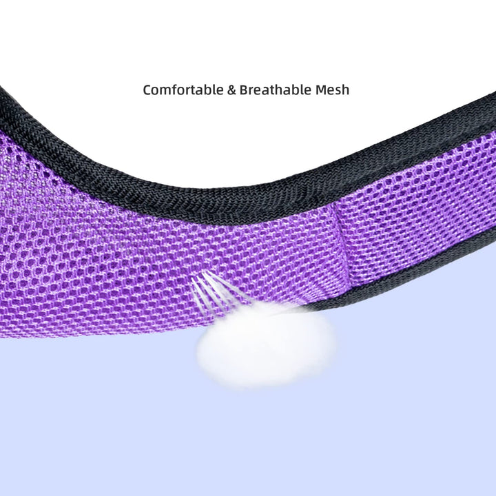 Adjustable Soft Harness with Elastic Leash for Rabbits (M, Purple)