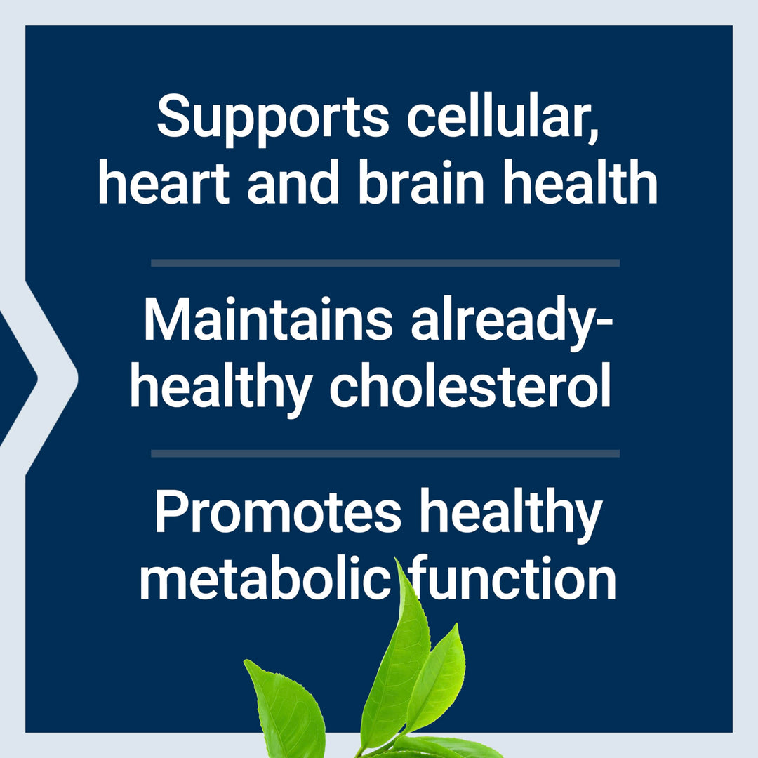 Decaffeinated Mega Green Tea Extract – Polyphenol-Rich, Cell Health, Heart Health, Brain Health, Antioxidant Protection – Non-GMO, Gluten-Free, Vegetarian – 100 Capsules