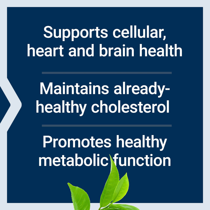 Decaffeinated Mega Green Tea Extract – Polyphenol-Rich, Cell Health, Heart Health, Brain Health, Antioxidant Protection – Non-GMO, Gluten-Free, Vegetarian – 100 Capsules