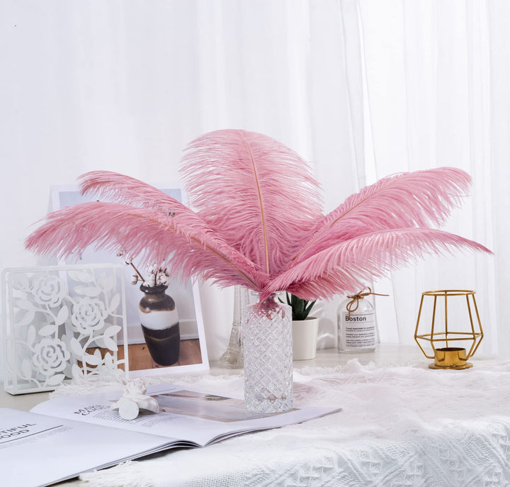 12pcs Natural Ostrich Feathers 12-14inch (30-35cm) for Wedding Party Centerpieces,Flower Arrangement and Home Decoration.(Shrimp Powder)