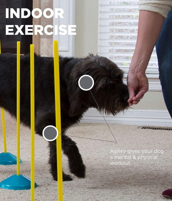 Zip & Zoom Indoor Dog Agility Training Kit for Dogs