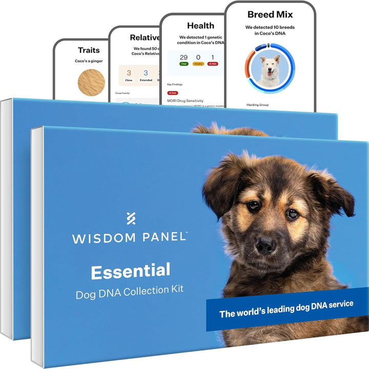 Panel Essential Dog DNA Kit: Most Accurate Test for 365+ Breeds, 30 Genetic Health Conditions, 50+ Traits, Relatives, Ancestry - 2 Pack