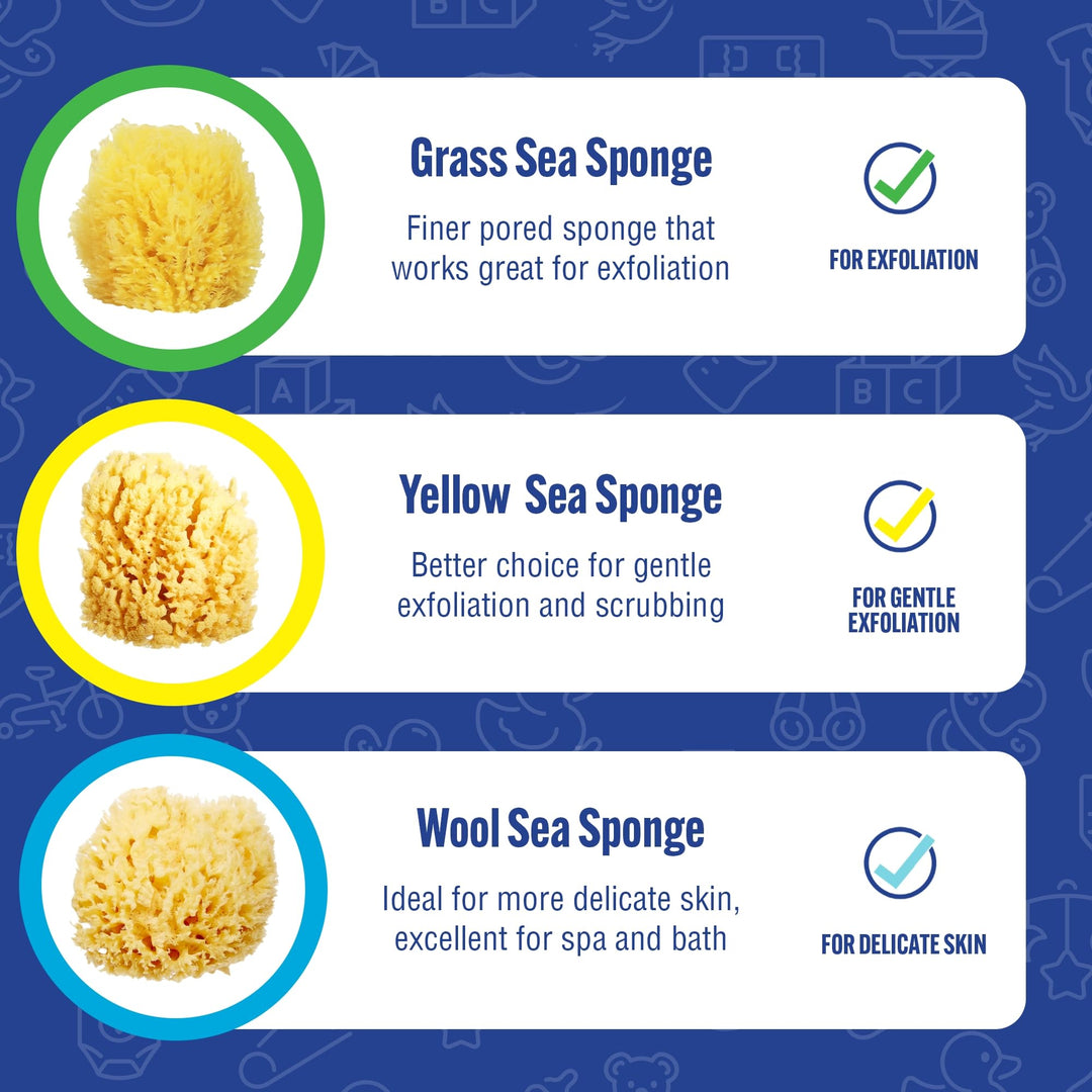 Natural Yellow Sea Sponge, Newborn Bath Time Essential, Soft and Gentle for Tender Skin, Hypoallergenic and Biodegradable, 1 Pack