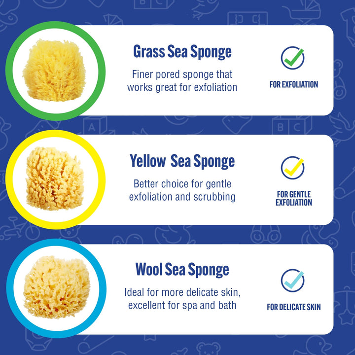 Natural Yellow Sea Sponge, Newborn Bath Time Essential, Soft and Gentle for Tender Skin, Hypoallergenic and Biodegradable, 1 Pack