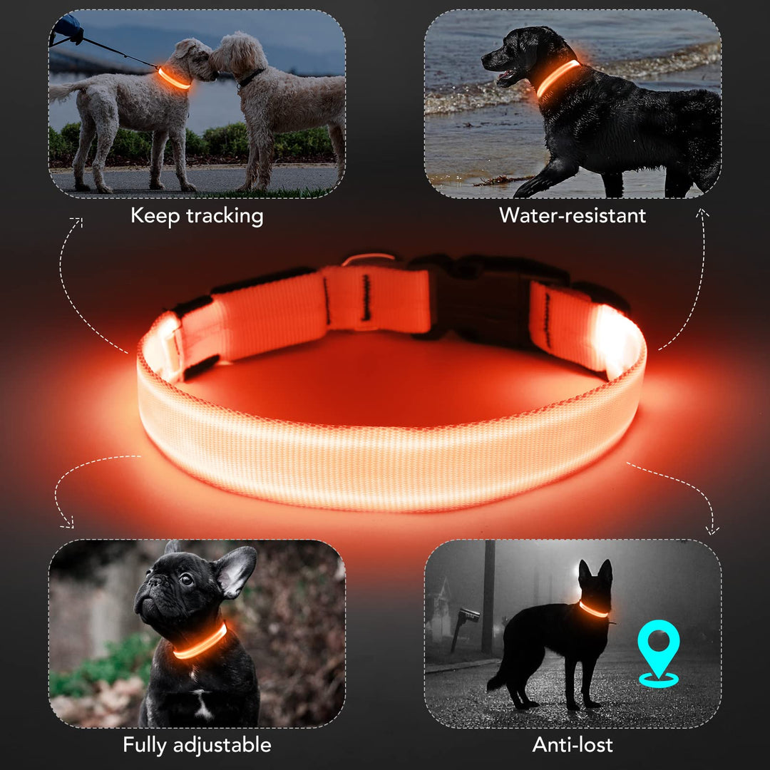 Light Up Dog Collar at Night, Led Dog Collar Adjustable, Lighted Dog Collar Rechargeable Waterproof, Dog Lights for Night Walking, Glow in The Dark Dog Collars Light for Medium Large Dogs OM