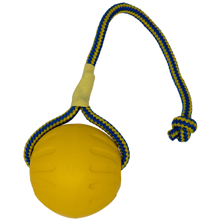 Swing 'n Fling DuraFoam Ball Dog Toy Large