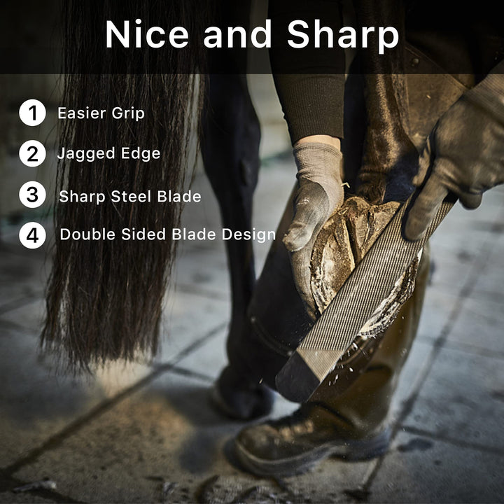 Horseshoe File 14 Inches, Horse Rasp and File with Handle for Horse Hoofs, Hoof Trimming Tool for Repairing Horse Goat Pig Hooves