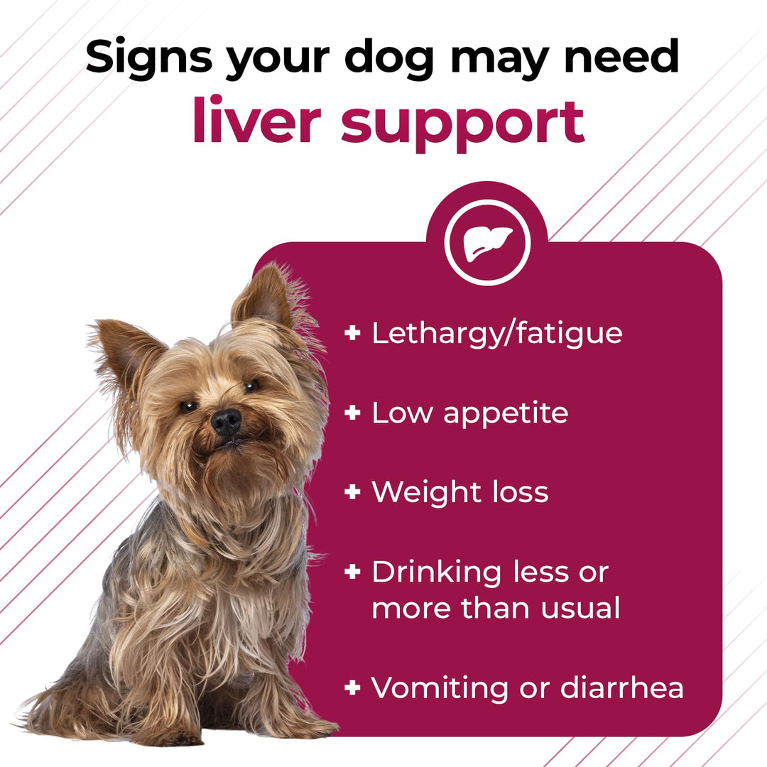 VetriScience Same Liver Health Tablets, 90 mg S-Adenosyl-Methionine Liver Health and Detox Supplement for Medium and Large Breed Dogs, Glutathione Antioxidant Liver Support, 30 Count