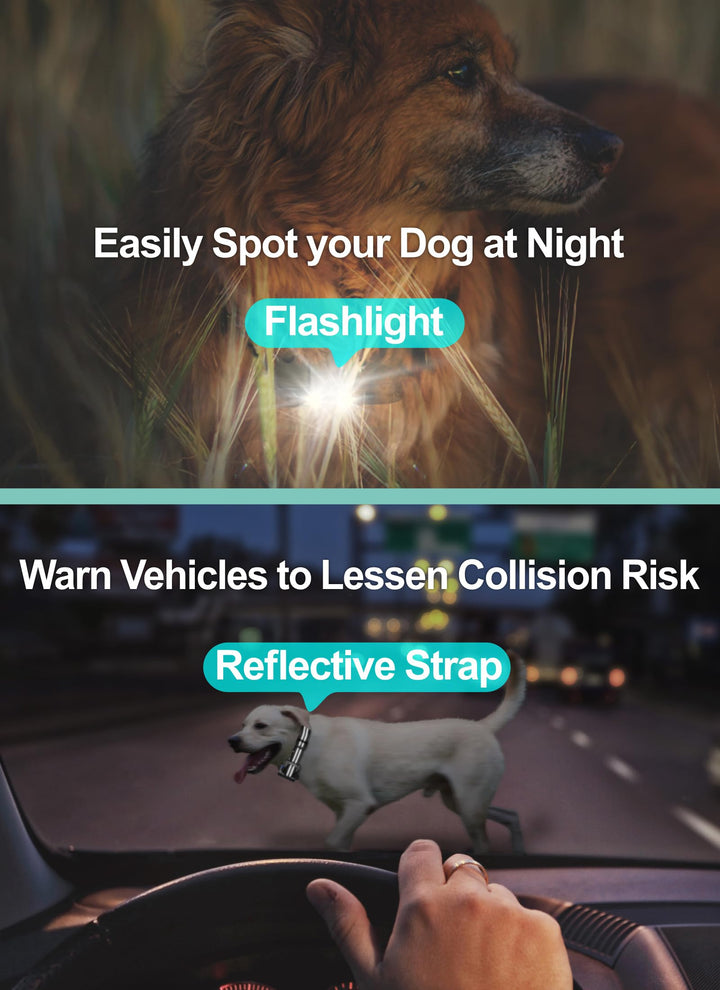 Dog Shock Collar 3 Pack - Dog Training Collar with Remote IP65 Waterproof E Collar for Dogs Training with Shock Vibrate Beep and Light Modes for Small Medium Large Dogs