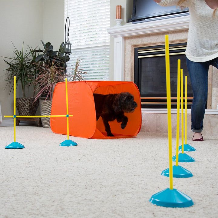 Zip & Zoom Indoor Dog Agility Training Kit for Dogs