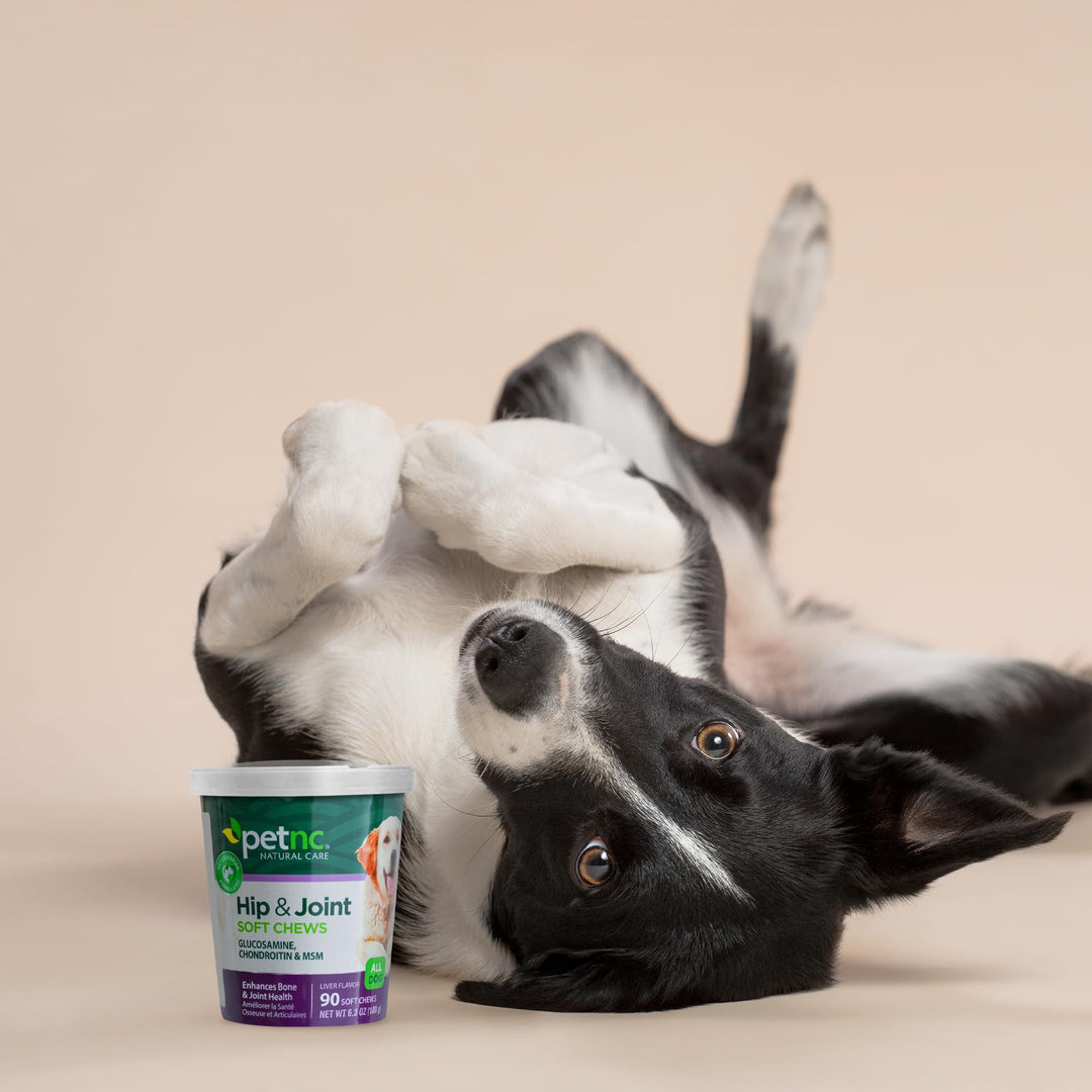 Hip and Joint Soft Chews for Dogs, 90 Count,Liver,6.3 oz