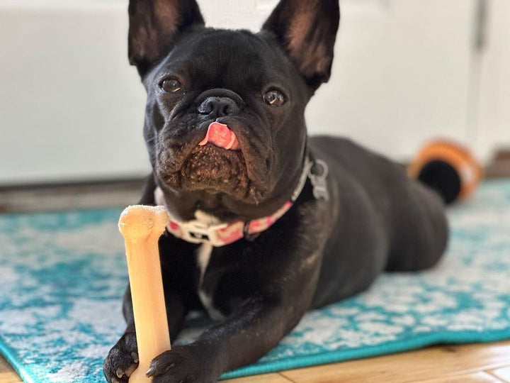 Power Chew Classic Bone Chew Toy for Dogs, Durable Dog Toys for Aggressive Chewers, Original Flavor, Small/Regular - Up to 25 Ibs. (1 Count)
