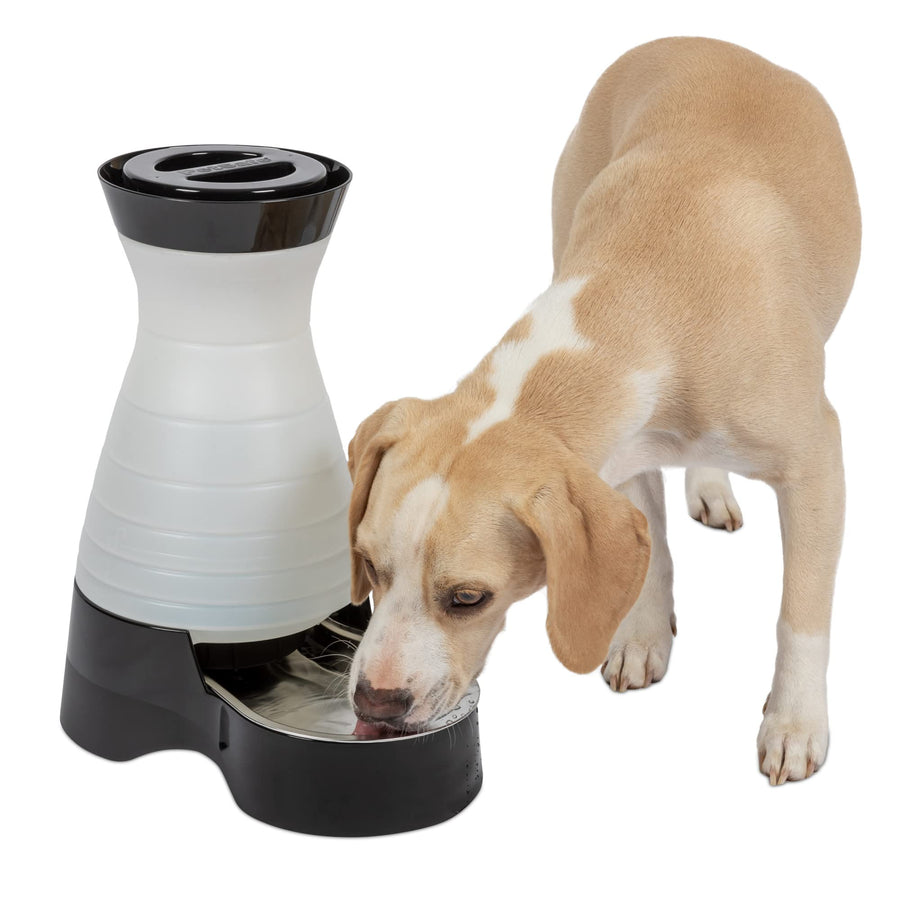 Healthy Pet Water Station - Medium, 128 oz Capacity - Gravity Pet Water Fountain, Automatic Cat Water Fountain, Dog Water Fountain, Water Dispenser - Removable Stainless Steel Bowl Included