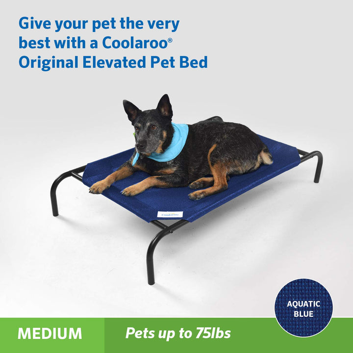 COOLAROO The Original Cooling Elevated Dog Bed, Indoor and Outdoor, Medium, 42L x 25.5W x 8Th, Aquatic Blue