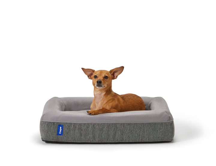 Dog Bed, Plush Memory Foam, Large, Gray