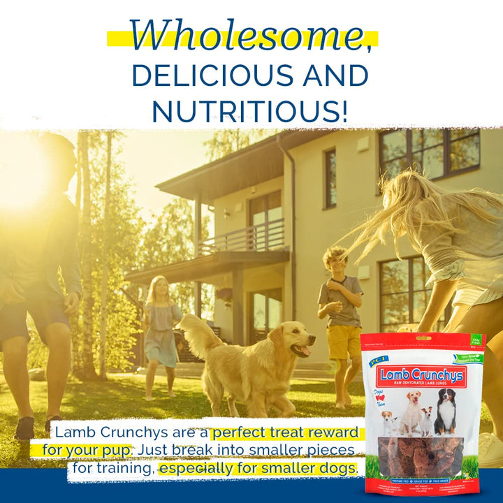 Pet Center Inc. Lamb Crunchys Raw Dehydrated Lamb Lungs Dog Treats, 16 Ounce Pack, LAM-016MC