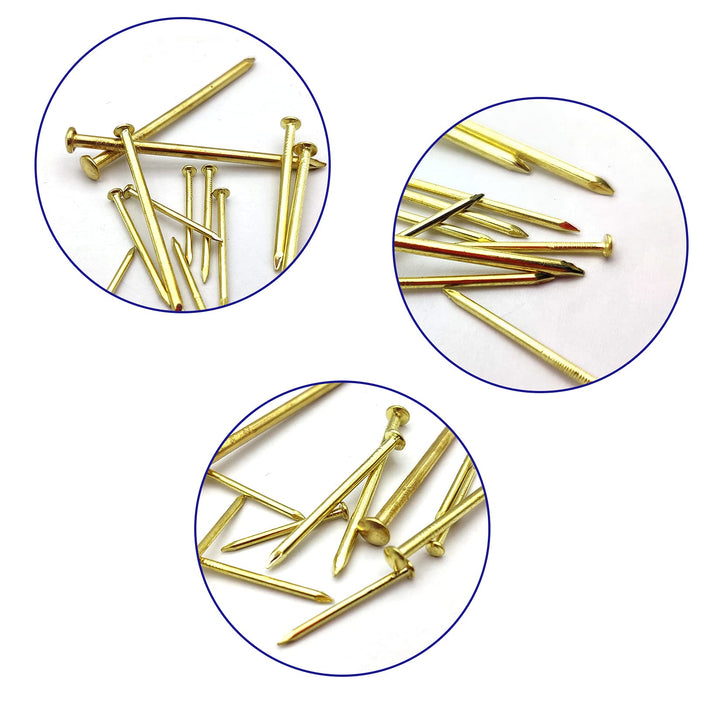 - 450 Pcs Nail Assortment Kit, Brass Nails for Hanging Pictures, Gold Finishing Nails Hardware Assortment Set, (0.78 in|1 in|1.57 in|2 in) Small Nails for Picture Hanging/Wood/Concrete Wall