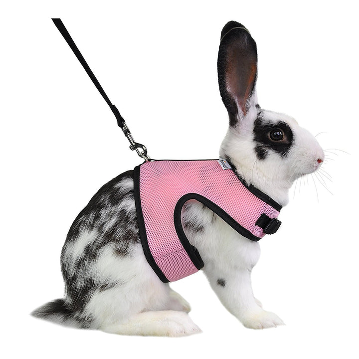 Adjustable Soft Harness with Elastic Leash for Rabbits (L, Pink)