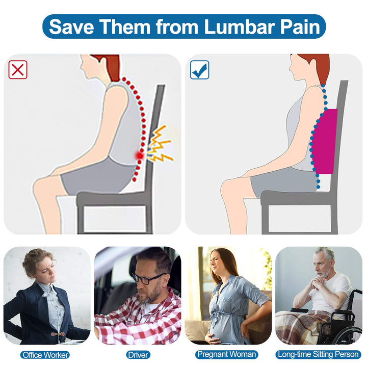 Love Home Memory Foam 3d Ventilative Mesh Lumbar Support Cushion Back Cushion - Alleviates Lower Back Pain - (Rose Red)
