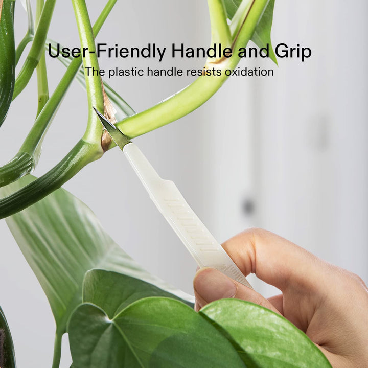 #11 High-Carbon Steel Blades for Cutting Plants and Propagation