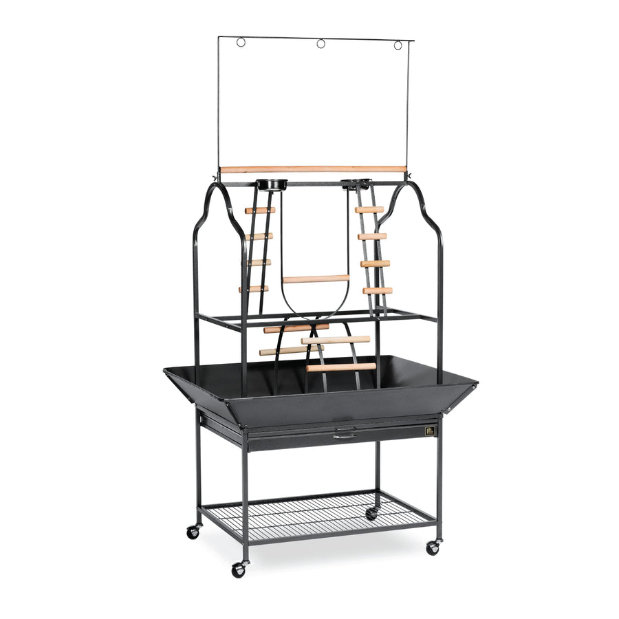 Prevue Pet Products Parrot Playstand with Wheels, Bird Stand Activity Play Center with Perches and Ladders, Indoor Outdoor Playground for Birds, Black Hammertone Finish