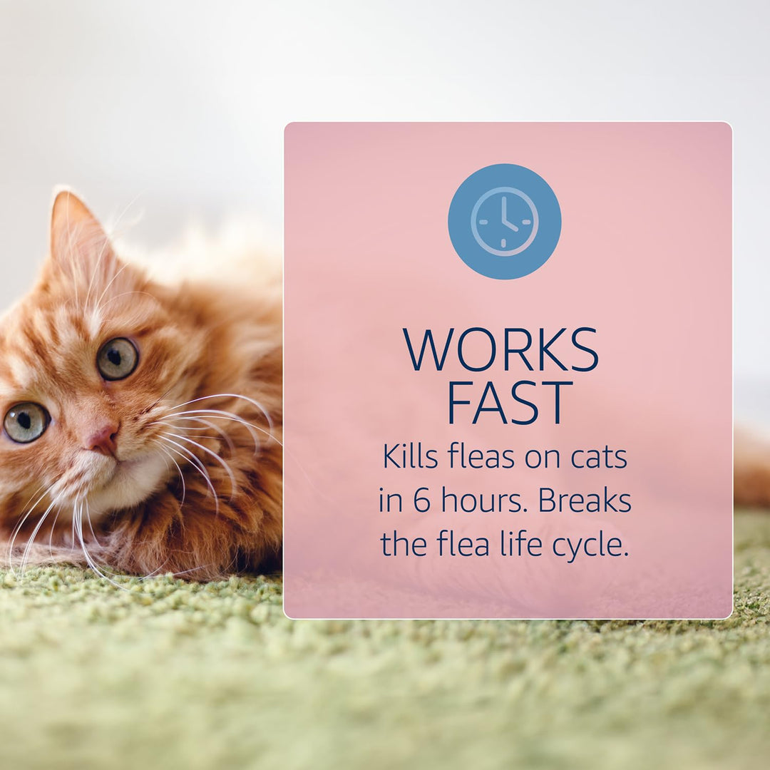 for Cats Flea and Tick Treatment & Prevention (Over 1.5 lbs) 6-Month Supply