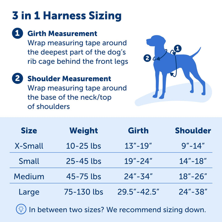 3 in 1 Dog Harness - No Pull Solution for Dogs - Reflective Dog Harness - Front D-Ring Clip Helps Stop Pulling - Comfortable Padded Straps - Top Handle Enhances Control - Teal - Medium