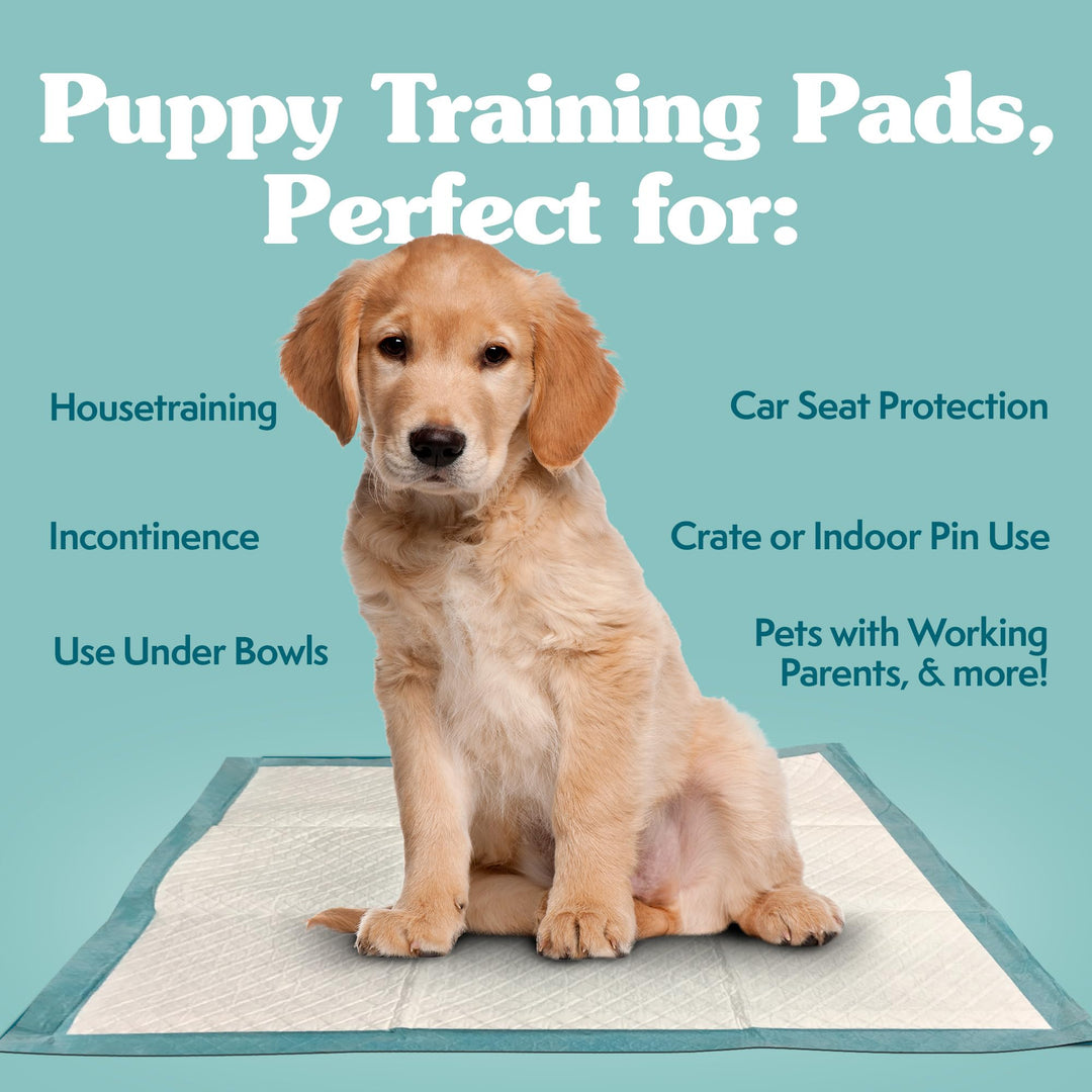 Extra Large Pee Pads For Dogs, XL Puppy Potty Training Pee Pad, 6 Layers Thick, Instashield Absorbent, Attracts Dogs, Leak Proof, Odor Neutralizing, Disposable, XLARGE 28x30, 200ct