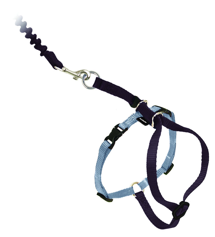 Come with Me Kitty Harness and Bungee Leash, Large, Black
