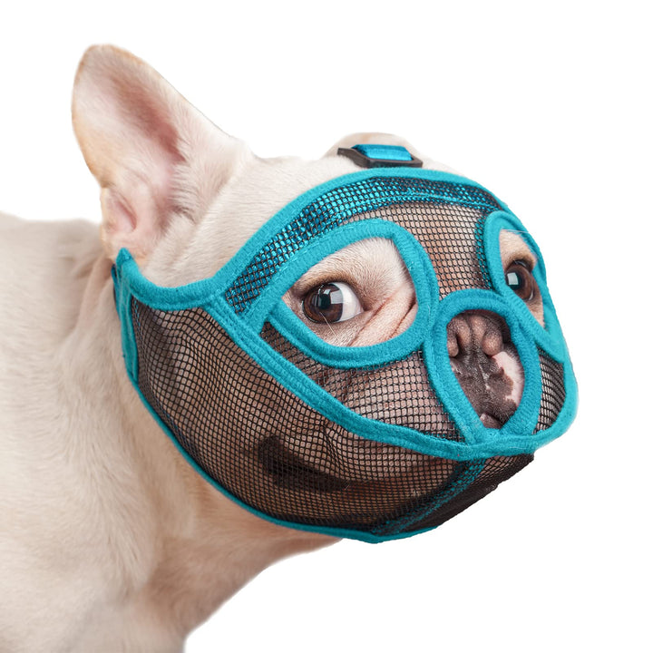 Short Snout Dog Muzzle Mesh Bulldog Muzzle Anti-Biting Barking Chewing, Adjustable (M, Lake Blue)