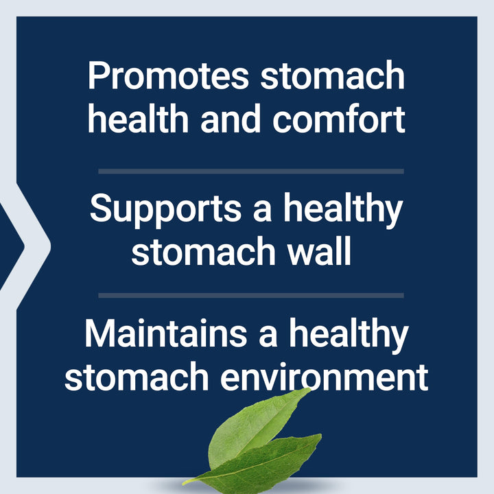 Gastro-Ease - Digestive Health - Gastric Health Supplement with Zinc L-carnosine Plus Pylopass For Healthy Stomach Support - Non-GMO, Gluten-Free - 60 Vegetarian Capsules