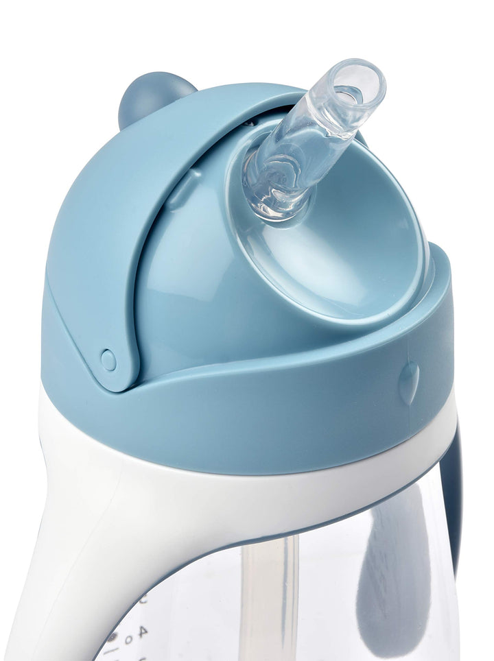 Straw Sippy Cup, Sippy Cup with Removable Handles, Sippy Cup with Straw, Baby Straw Cup, Toddler Cup, Toddler Straw Cups, 8+ months, 10 oz, Rain