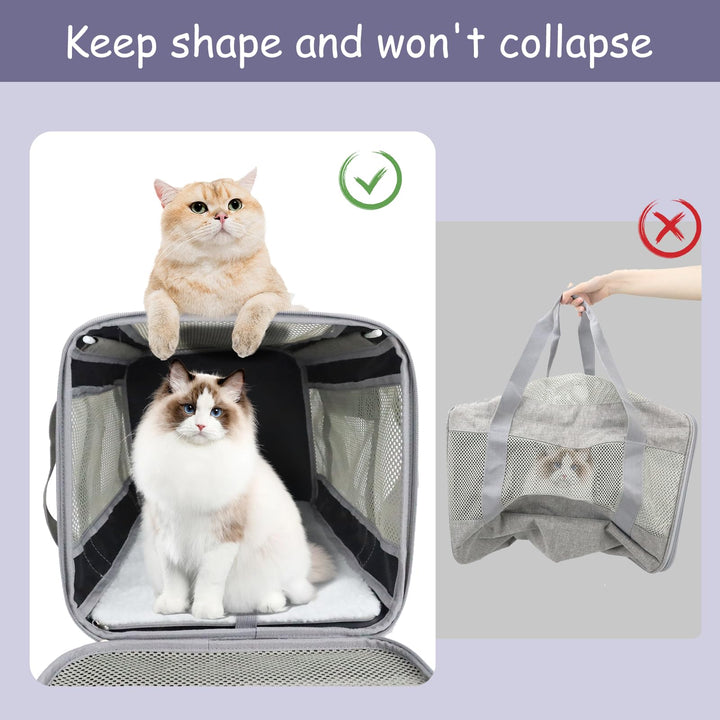 Cat Carrier Dog Carriers for Small Dogs Soft Slided Airline Approved Collapsible Pet Travel Carrier, Small (16.3 L x 11.8 H x 12.4 W)