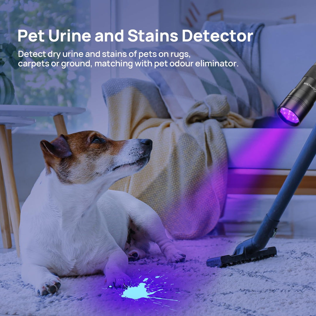 UV Flashlight Black Light, 12 LED 395nm Ultraviolet Blacklight, Portable Mini Torch Light Pet Urine Detector for Dog/Cat Urine, Dry Stains, Bed Bug, Matching with Pet Odor Eliminator