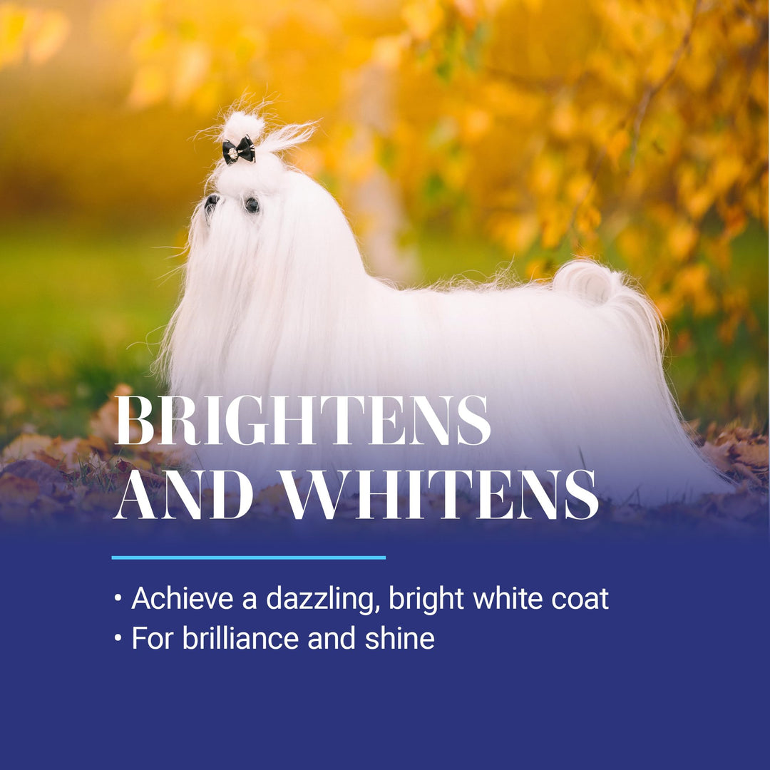 White on White Whitening Treatment Dog Shampoo, Groom Like a Professional, Brightens White, Safely Removes Yellow & Other Stains, All Coat Types, Made in USA, 16 oz.