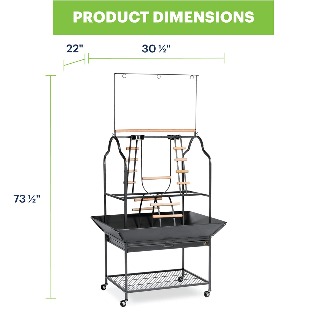 Prevue Pet Products Parrot Playstand with Wheels, Bird Stand Activity Play Center with Perches and Ladders, Indoor Outdoor Playground for Birds, Black Hammertone Finish