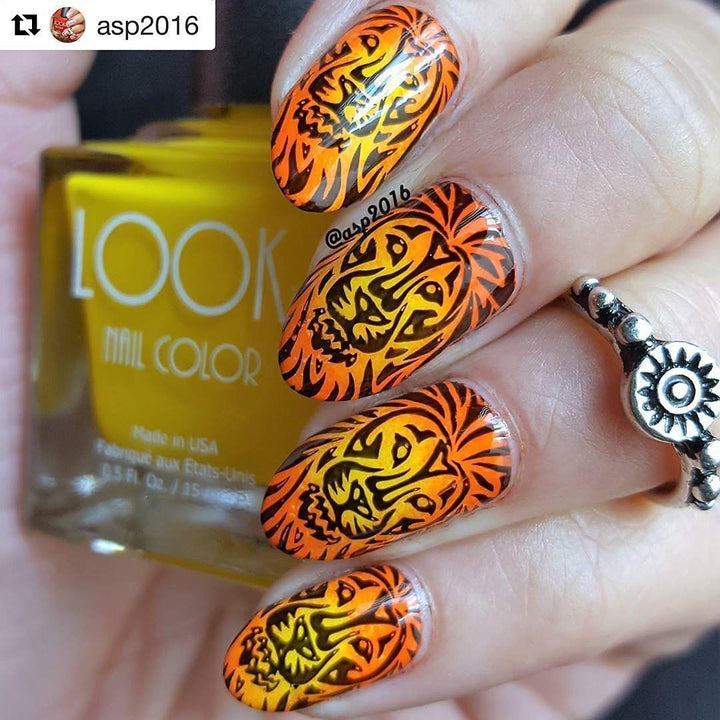 Nail Art Stamping Plate - Animal Safari 01 - Theme Park Collection 125x65mm Unique Nailart Polish Stamping Manicure Image Plates Accessories Kit - BH000713
