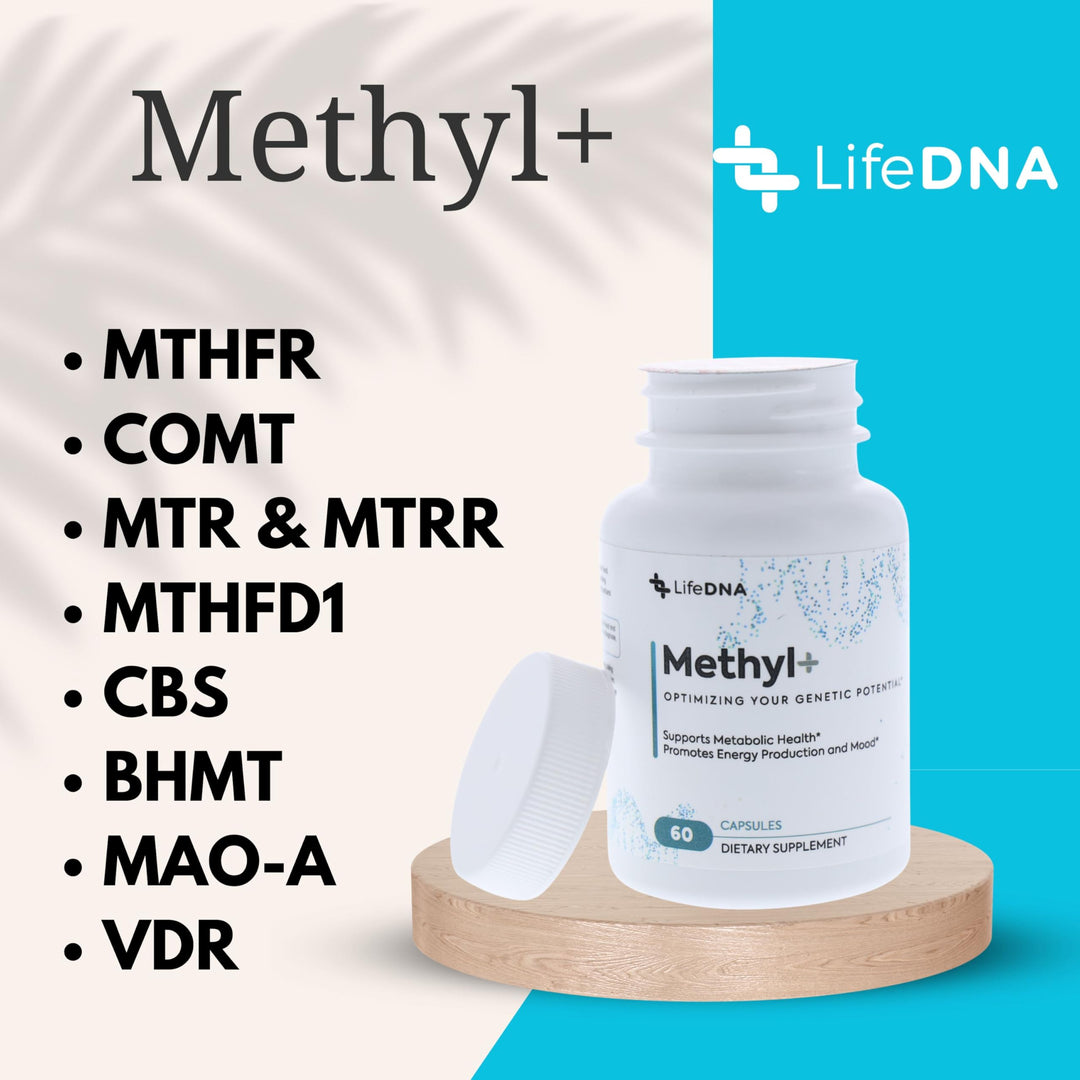 Methyl+ Methylated Multivitamin Complex with Methylfolate & TMG for Optimized Homocysteine, Brain, Cardiovascular & Neurotransmitter Support