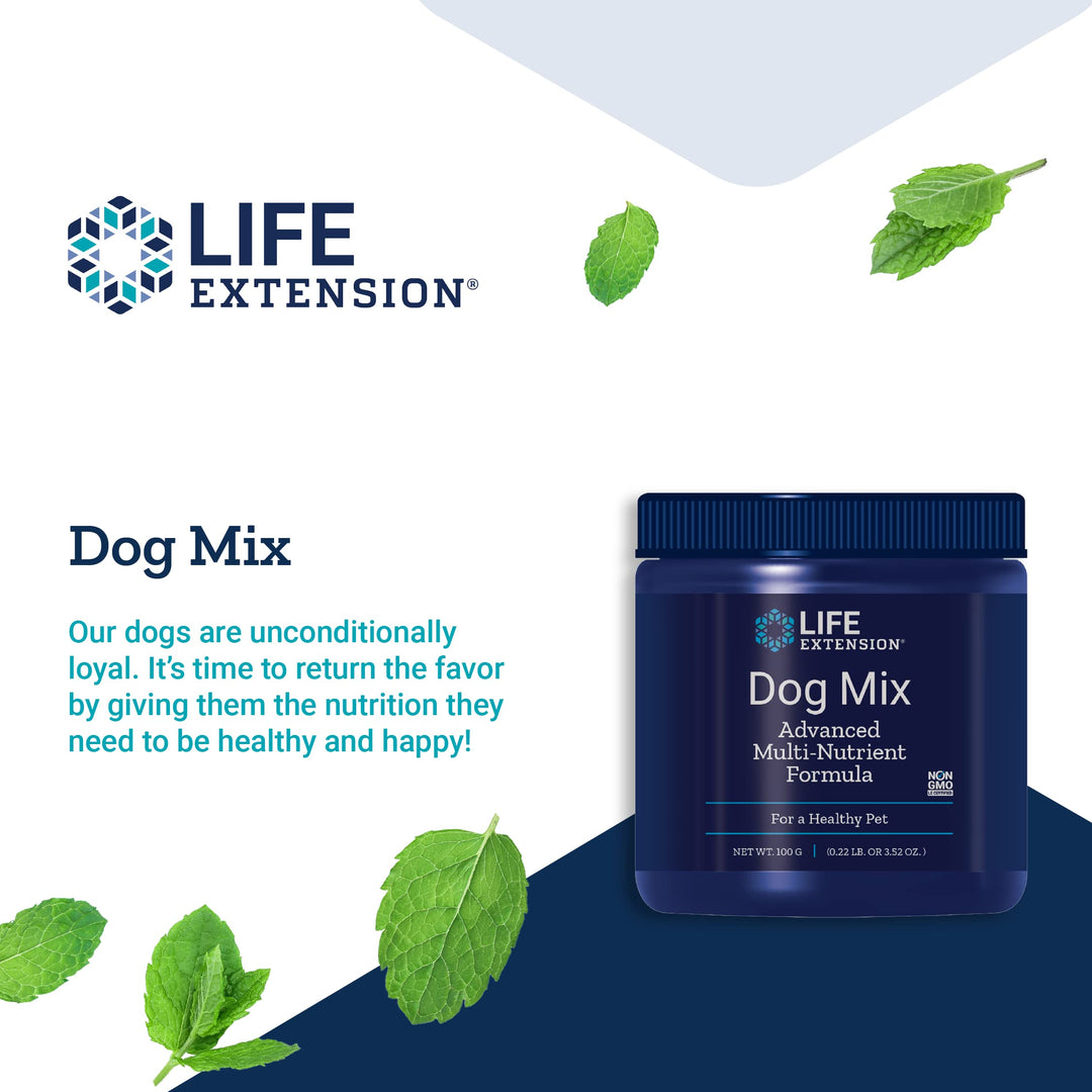 Dog Mix - Daily Nutrition Care Supplement Powder for Your Canine Pet - Advanced Formula with Vitamins, Probiotics & Essential Fatty Acids - Gluten-Free, Non-GMO – 100 g, 60 Servings