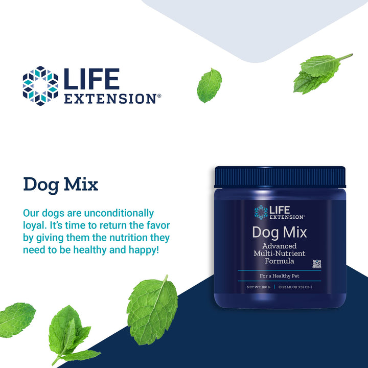 Dog Mix - Daily Nutrition Care Supplement Powder for Your Canine Pet - Advanced Formula with Vitamins, Probiotics & Essential Fatty Acids - Gluten-Free, Non-GMO – 100 g, 60 Servings