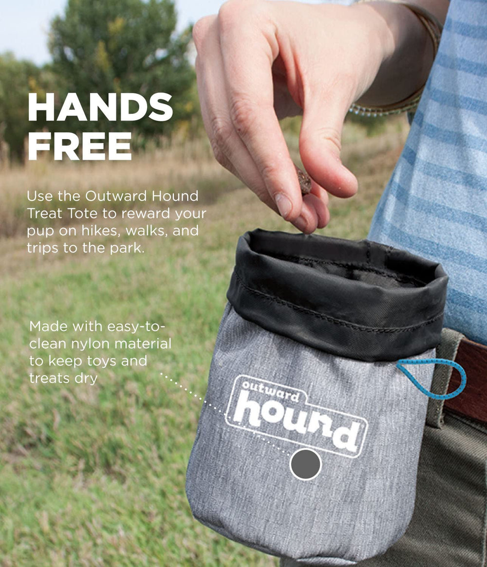 Treat Tote Hands-Free Dog Training Pouch