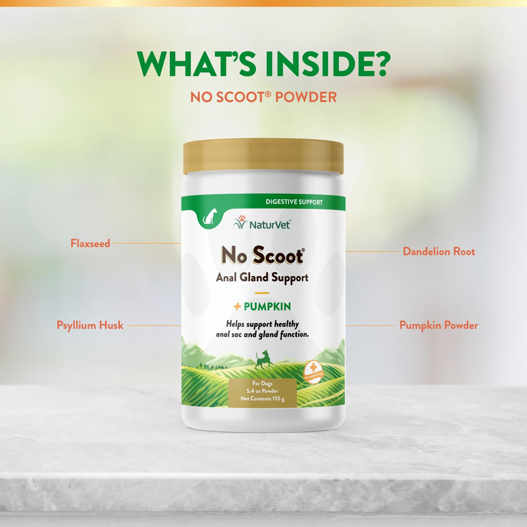 - No Scoot for Dogs - Plus Pumpkin - Supports Healthy Anal Gland & Bowel Function - Enhanced with Beet Pulp & Psyllium Husk (5.4oz Powder)