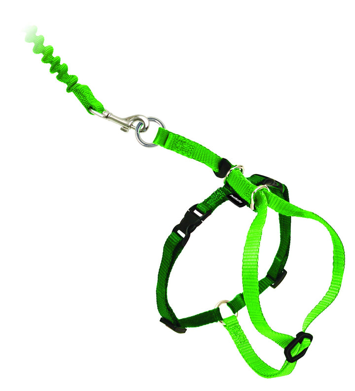 Come with Me Kitty Harness and Bungee Leash, Medium, Lime