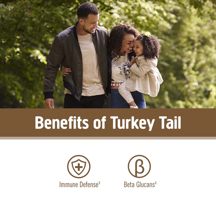 Turkey Tail Organic Mushroom Powder Pouch, 7.05 Ounce, 100 Servings, Immune Support, Polysacchrides, Beta-Glucans, Gut Health & Holistic Defense Mushroom Supplement