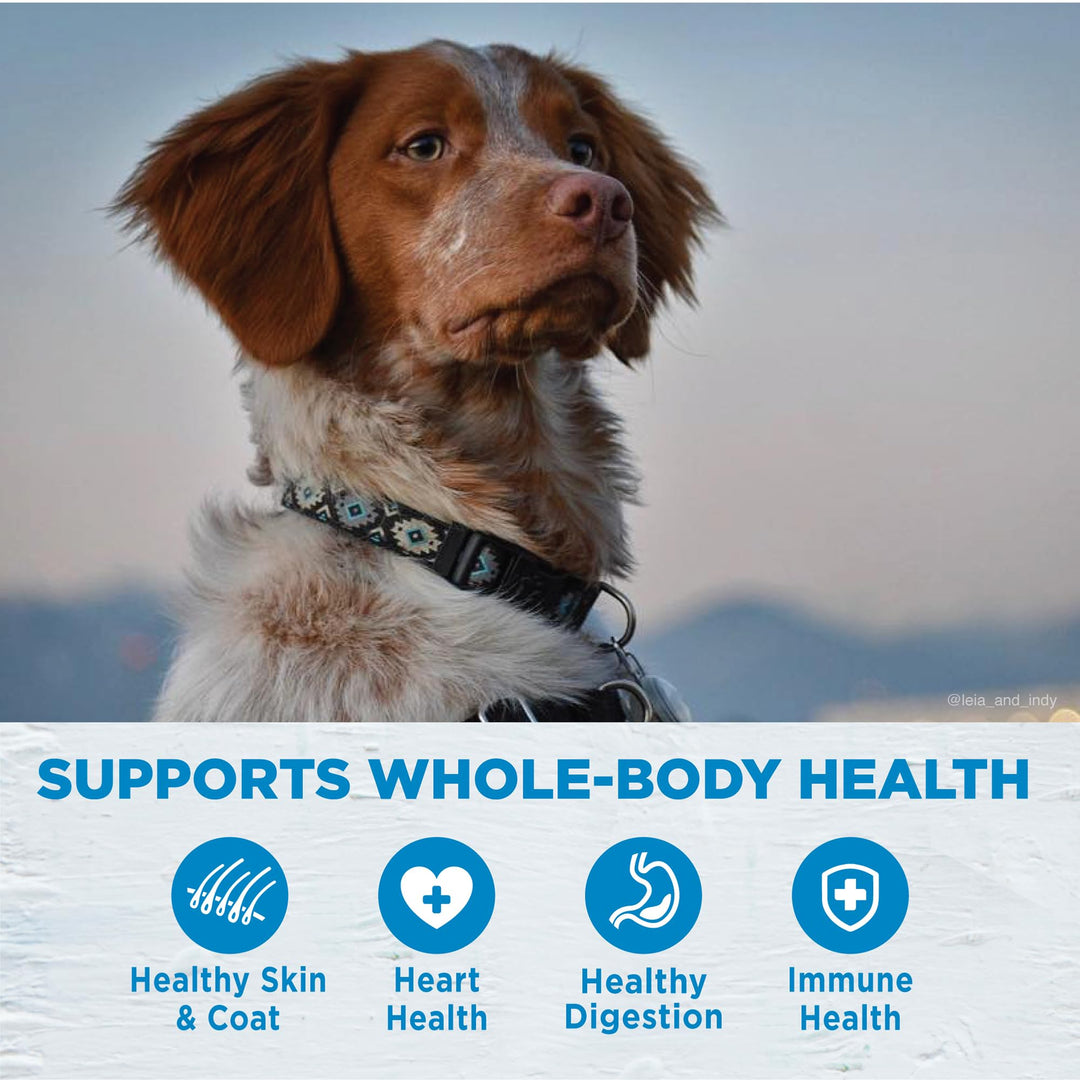 Simple Natural Limited-Ingredient Grain-Free Dry Dog Food, Easy to Digest for Sensitive Stomachs, Supports Skin & Coat (Turkey and Potato, 26-Pound Bag)