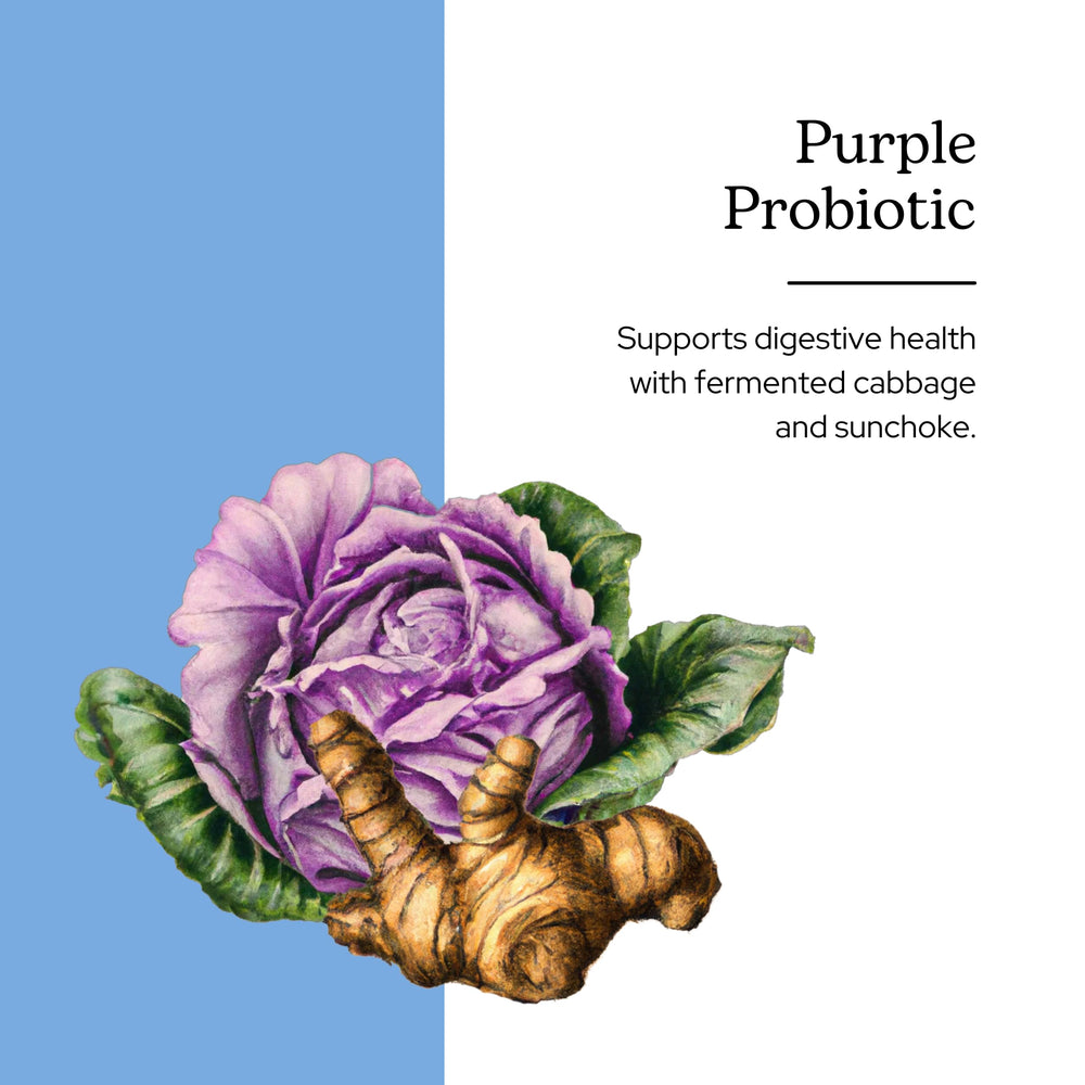 Eclectic Institute Raw Fresh Freeze-Dried Non-GMO Purple Probiotic | Digestive and Intestinal Support 90 CT (300 mg)