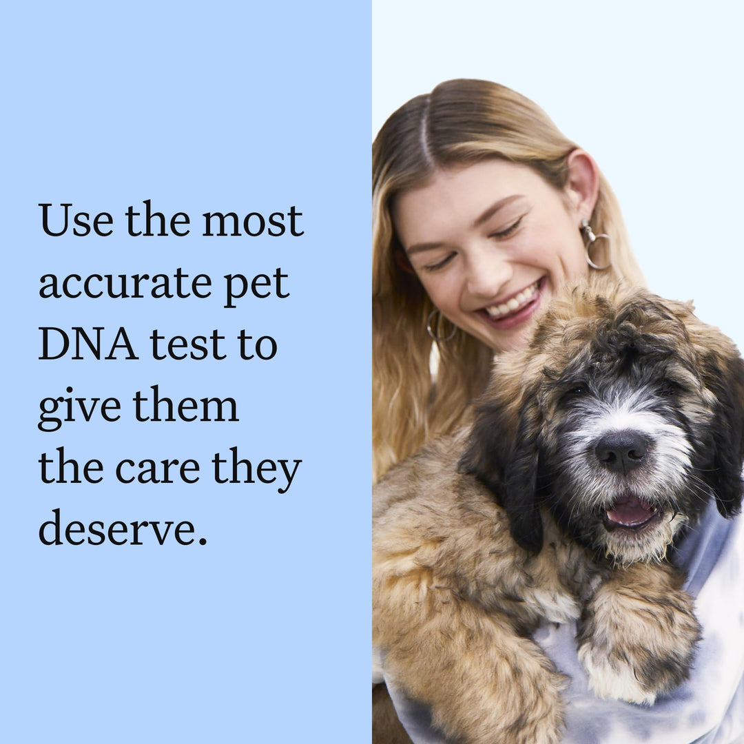 Health Panel Breed Discovery Dog DNA Kit: Most Accurate Dog Breed Identification, Test for 365+ Breeds, MDR1 Health Test, Ancestry, Relatives