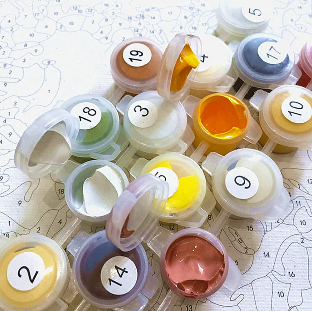 Paint by Numbers for Adults, DIY Oil Paint by Number for Adults Kids Beginner Student's - Elegant Beautiful Woman 16x20 Inch DIY Home Decor Canvas Acrylic Paint Art Set