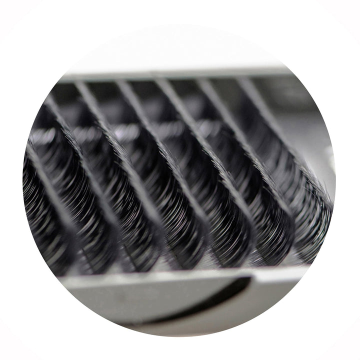 Eyelash Extensions 0.20mm Thickness B Curl Length 10mm Silk Mink Fake Eye Lashes In One Tray